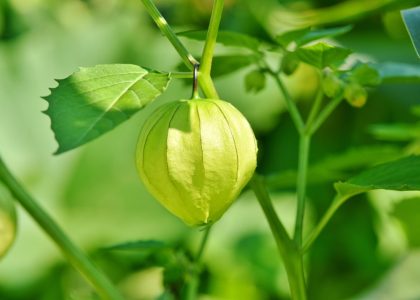 10 Best STEM Toys to Inspire Your Child's Next Big Idea