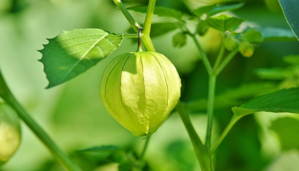 10 Best STEM Toys to Inspire Your Child's Next Big Idea