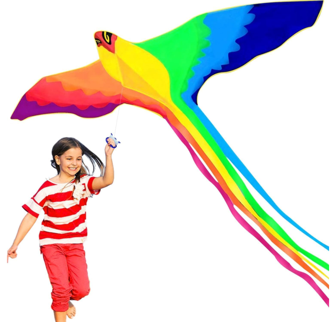 HENGDA KITE Phoenix Easy Fly Kite for Kids Toys Circuit Fun