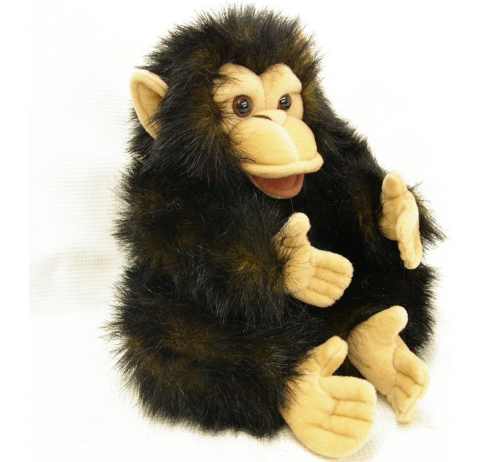 Folkmanis Baby Chimpanzee Hand Puppet Toys Circuit Fun Animal Toy