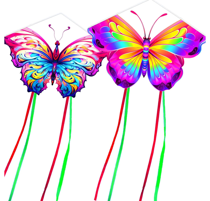HENGDA KITE Butterfly Kites Toys Circuit Easy to Fly 2 Pack