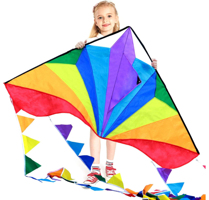 Rufus AI Large Delta Kite Easy to Fly for All Ages Toys Circuit