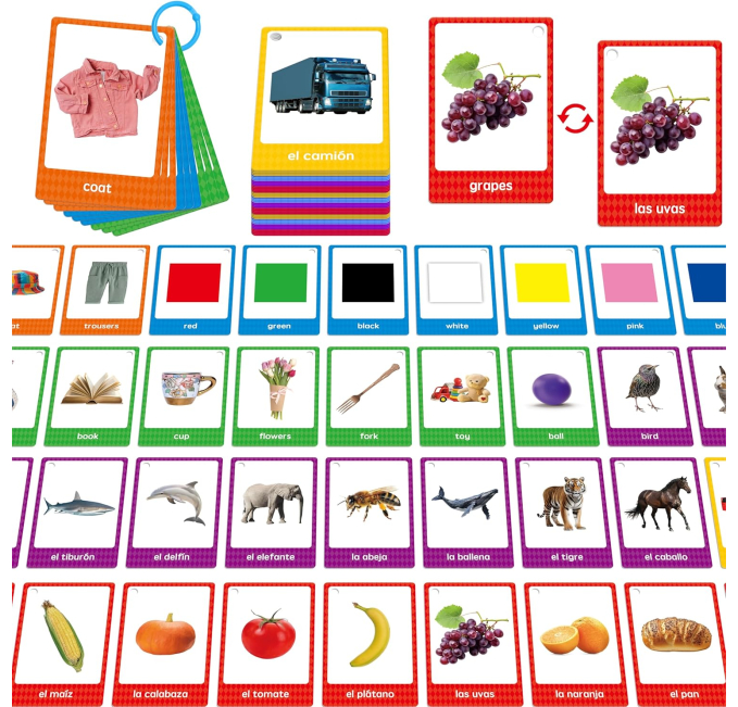 Toys Circuit 60 English Spanish Flash Cards Bilingual Vocabulary Tool
